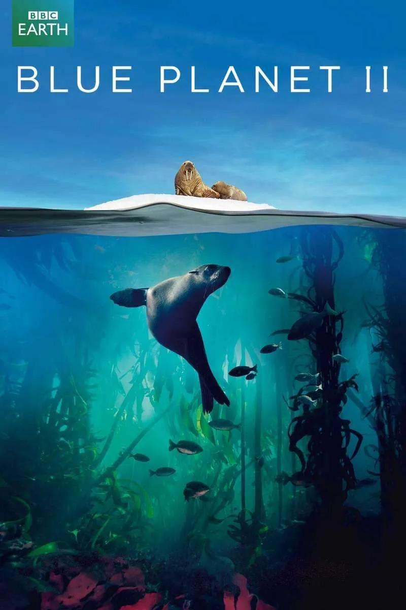 Top 10 classic history and geography documentaries that you can watch with your kids during the