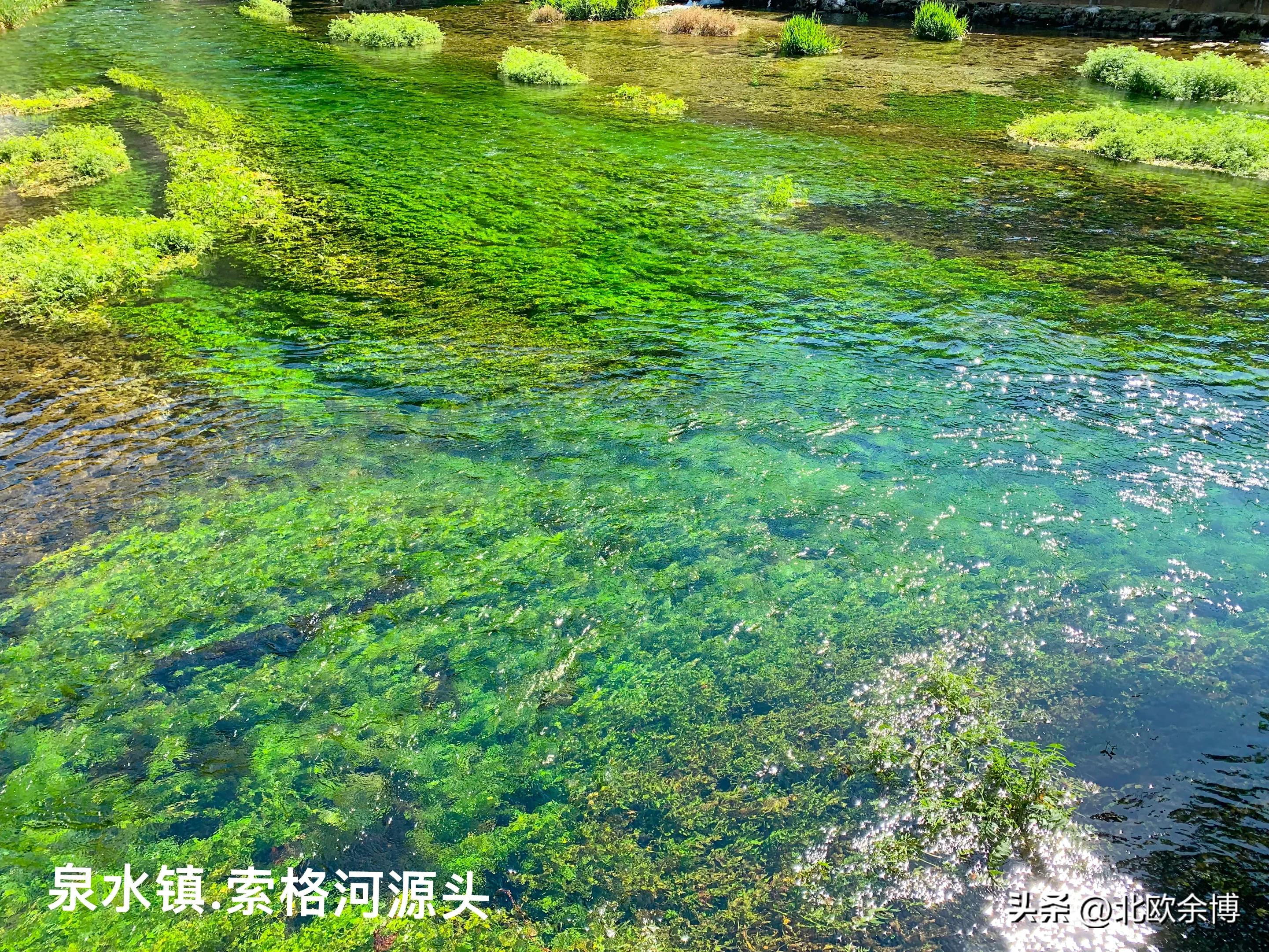Vaucluse Springs: home to the largest natural spring in France and the ...