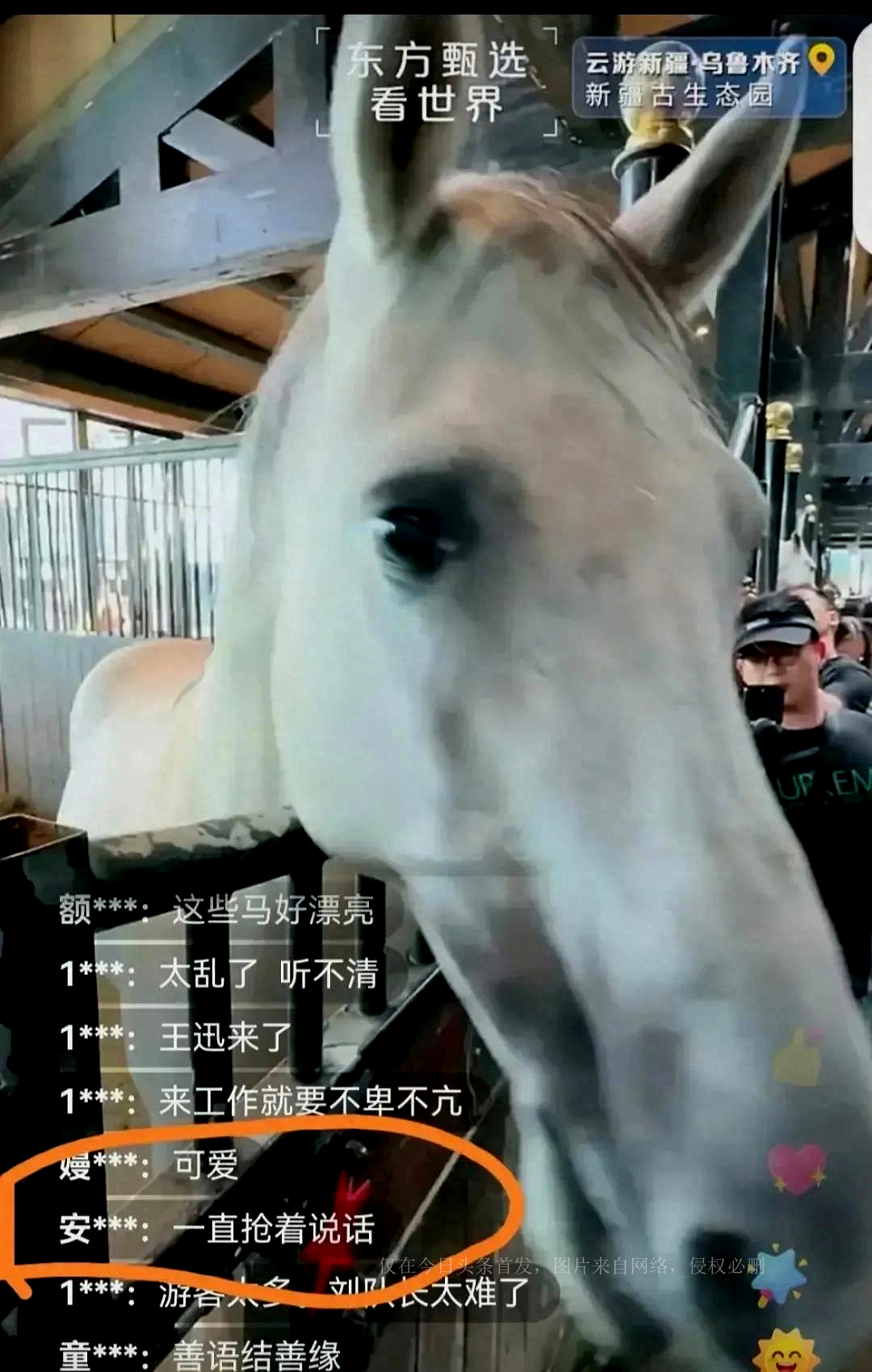 Double broadcast Dong Yuhui is helpless, Beibei is also helpless, then ...