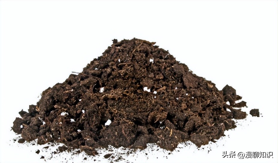 What is humus? About its role in mediating H+-ATPase regulation - iMedia