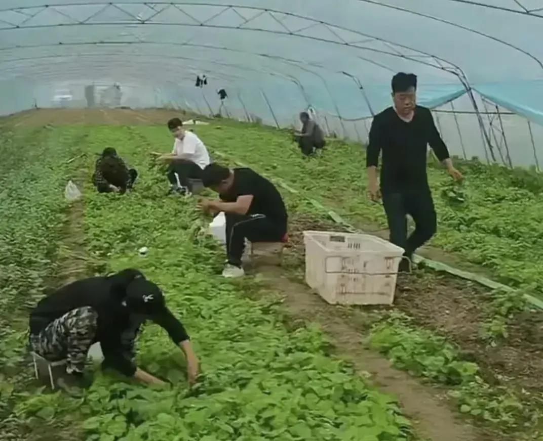 Tian Jing live broadcasted, with a haggard face, revealing Guo Wei's