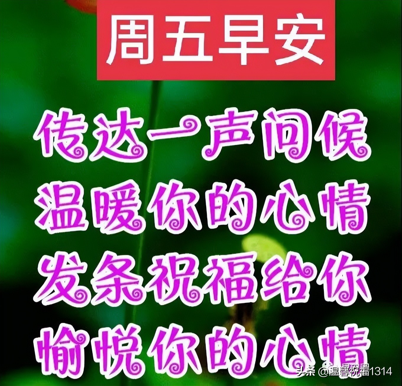 早上美好心情的优美句子