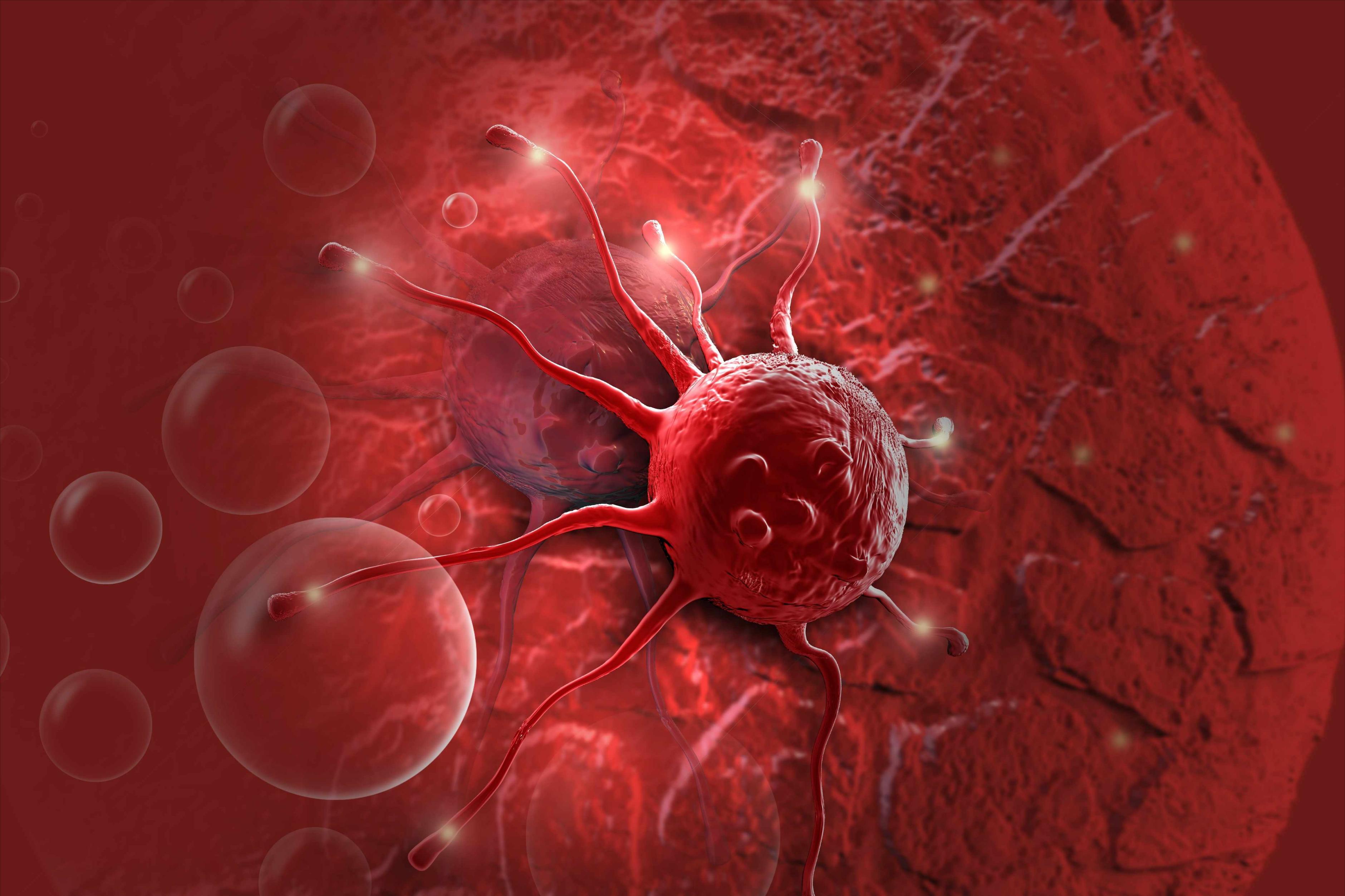 Can hair dye cause cancer? Harvard University spent 36 years