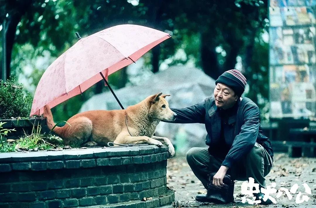 Feng Xiaogang's "Hachiko" made me cry, but it shouldn't have a Chinese