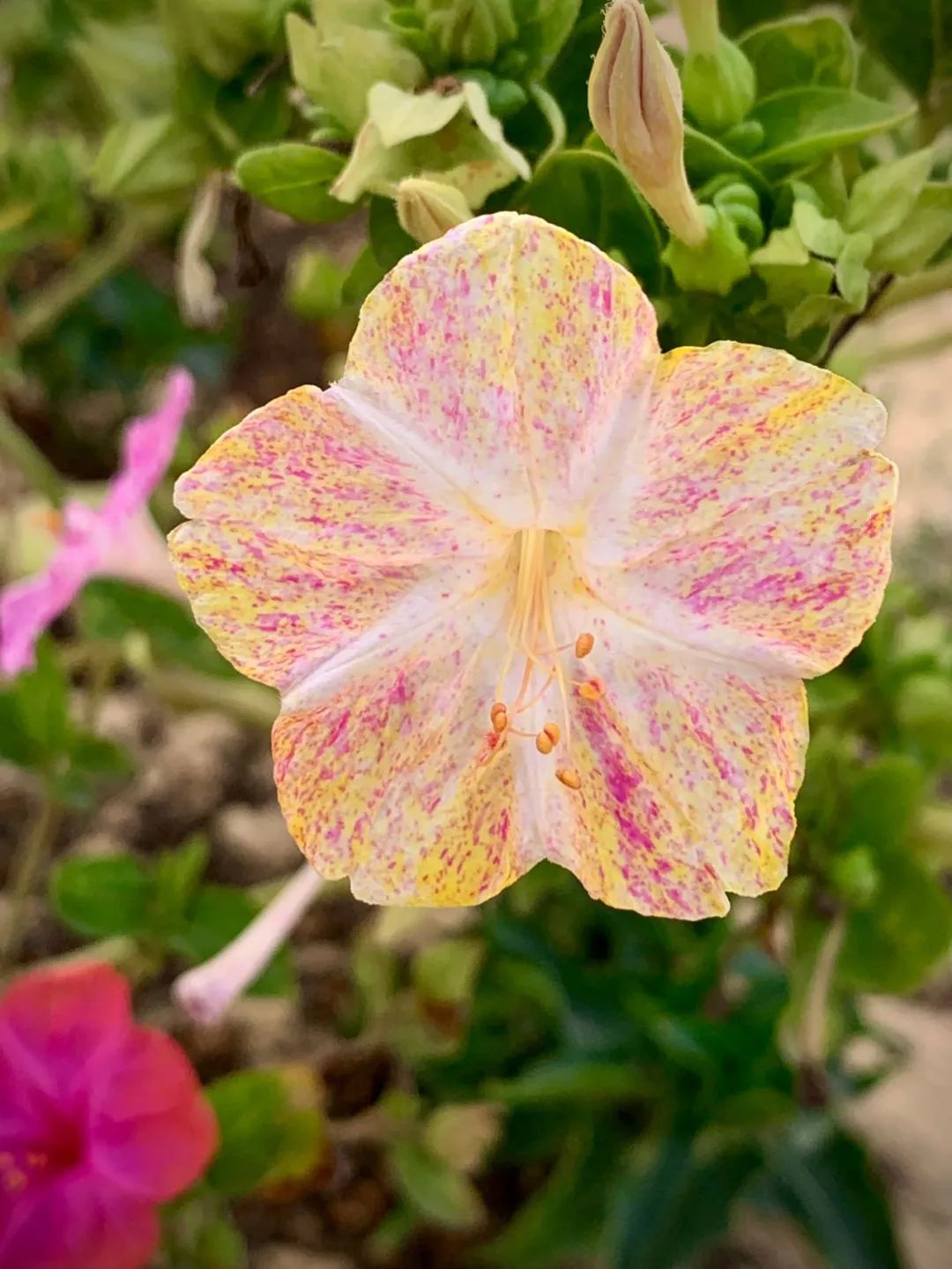 Jasmine Expect Function To Be Called at Mary Collins blog