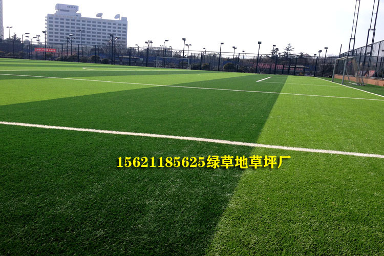 50mm artificial turf football field price iNEWS