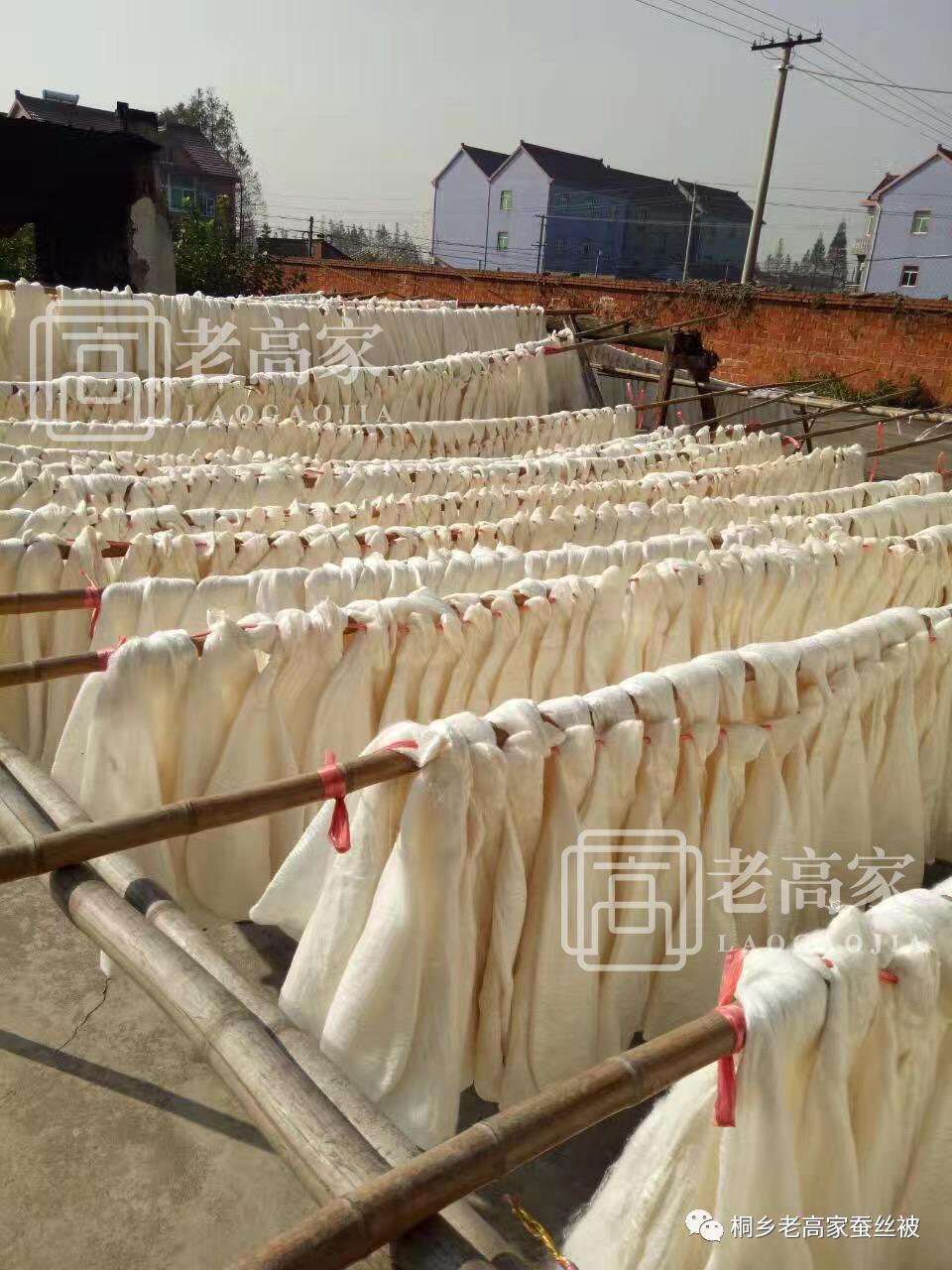 Where is the best mulberry silk quilt? iNEWS