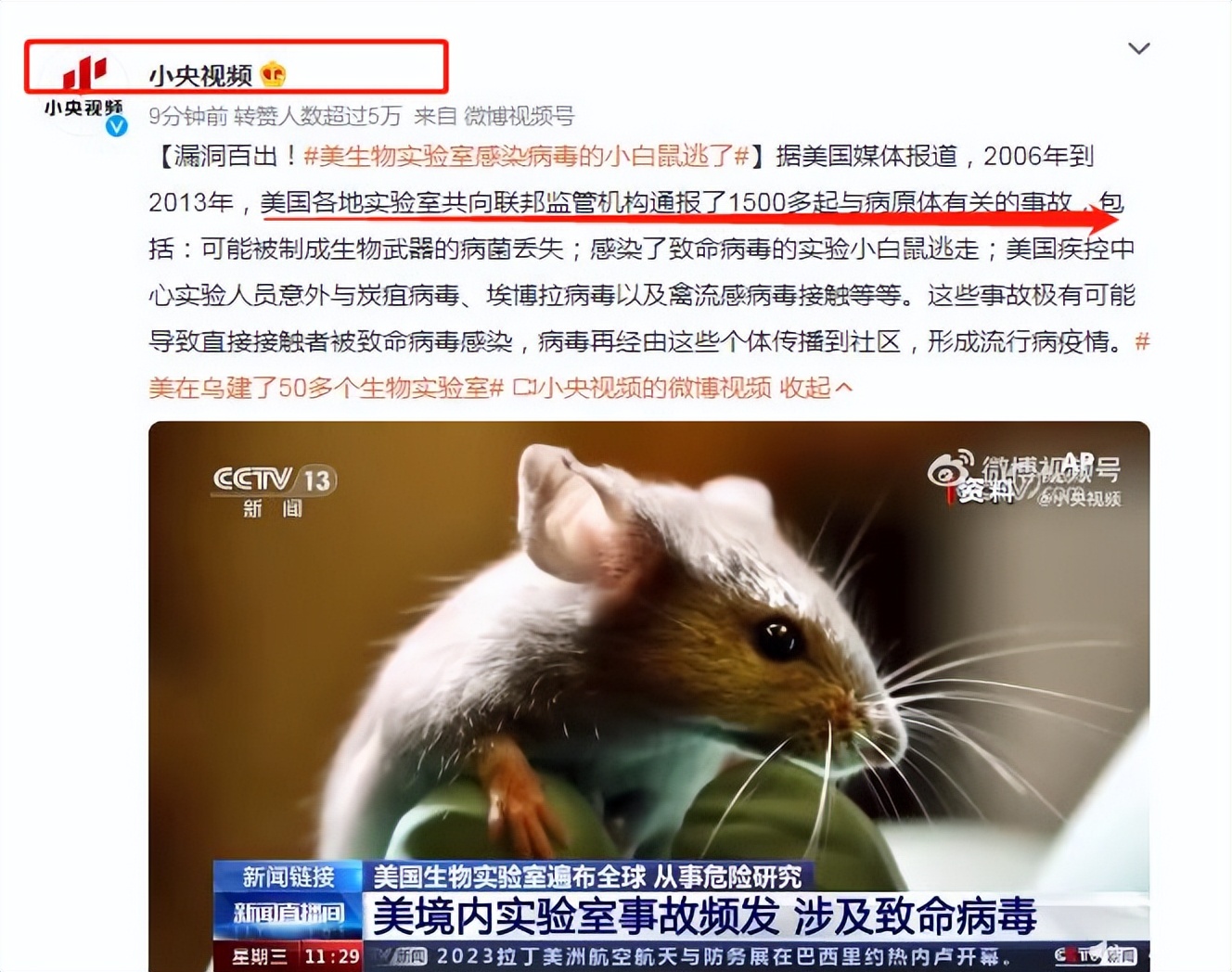 Too much! More than 1,500 mice 