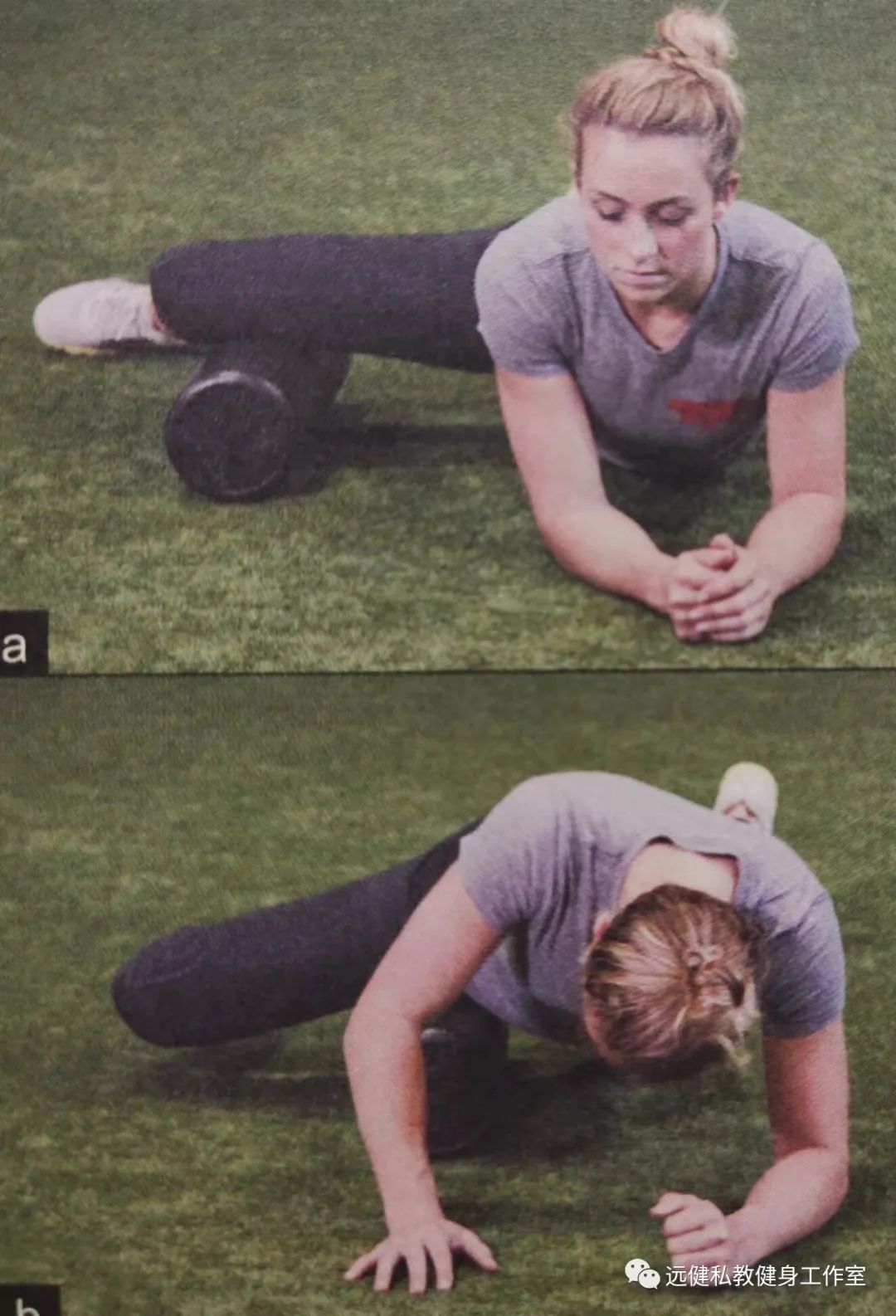 Miscellaneous Notes on Functional Training Theory 5 - iNEWS