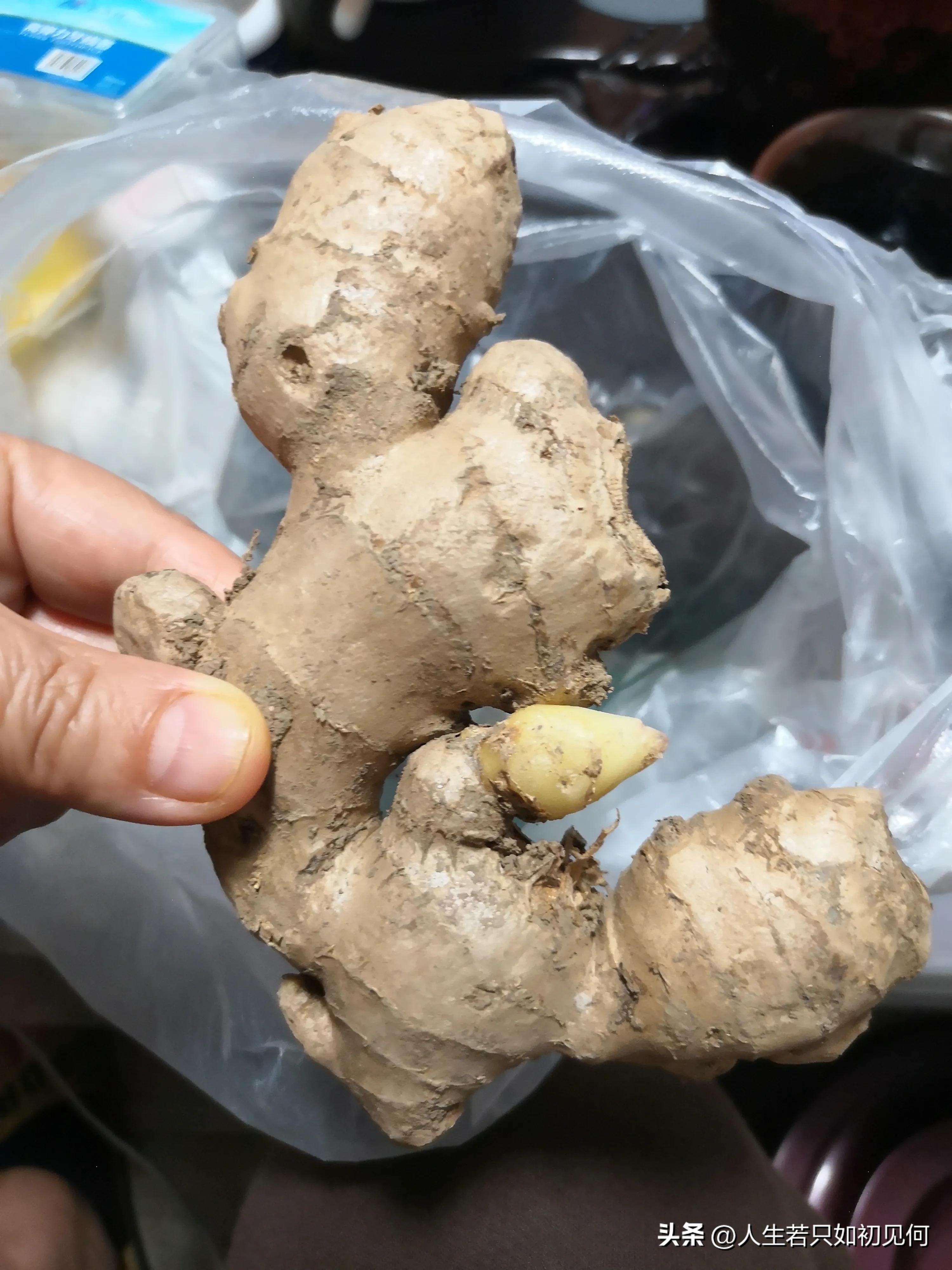 Laboth Gangter Summer is coming, eat ginger - iMedia