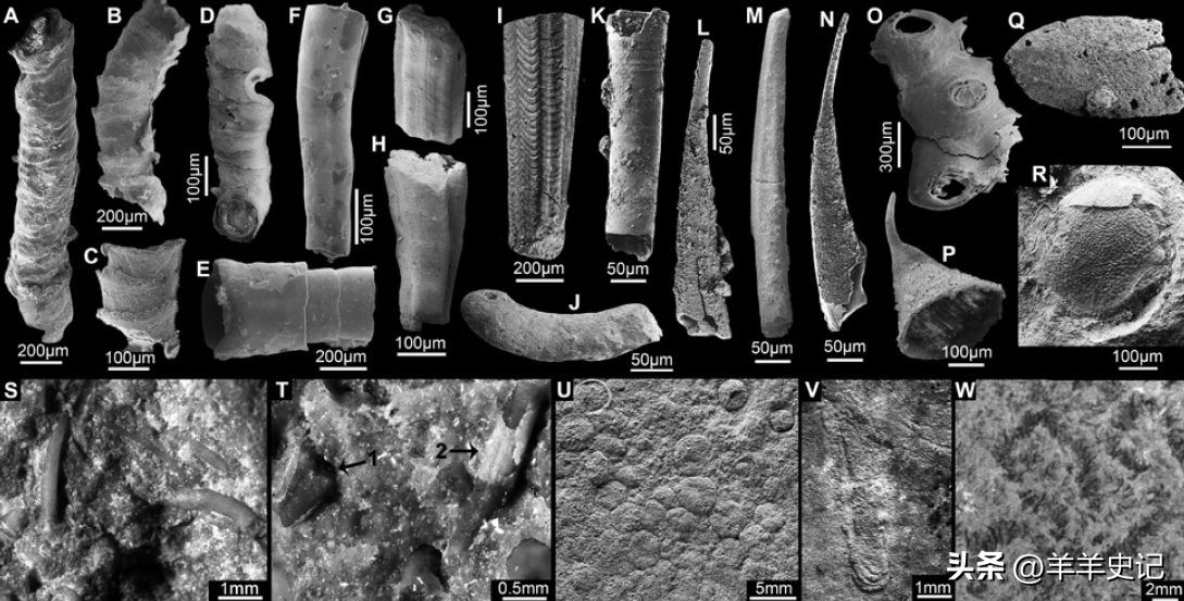 Unique Stone Sculptures Harkenglazer Stone Sculptures from the