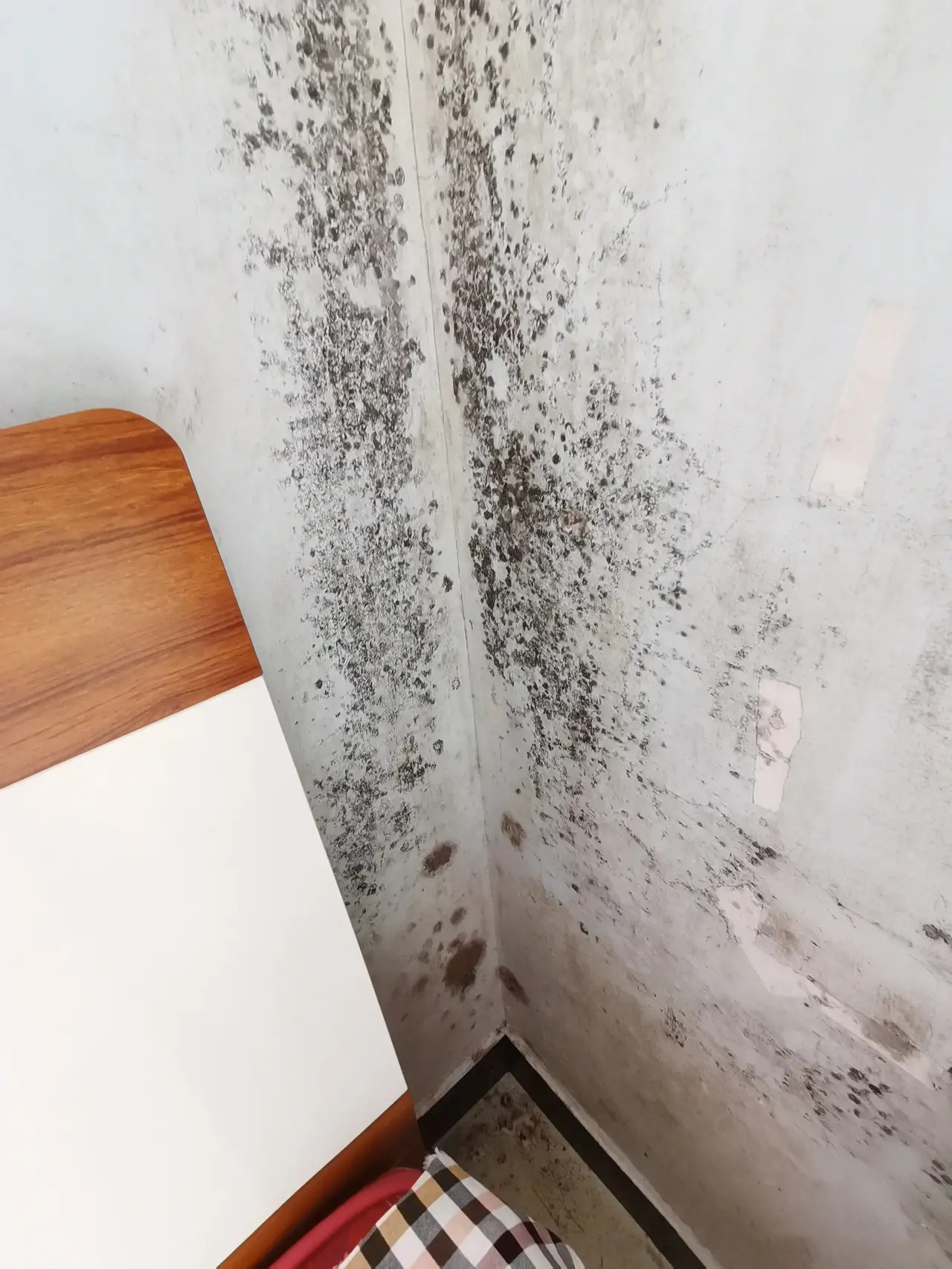 Glass glue moldy wipe with alcohol?wrong!Teach you to do this, the