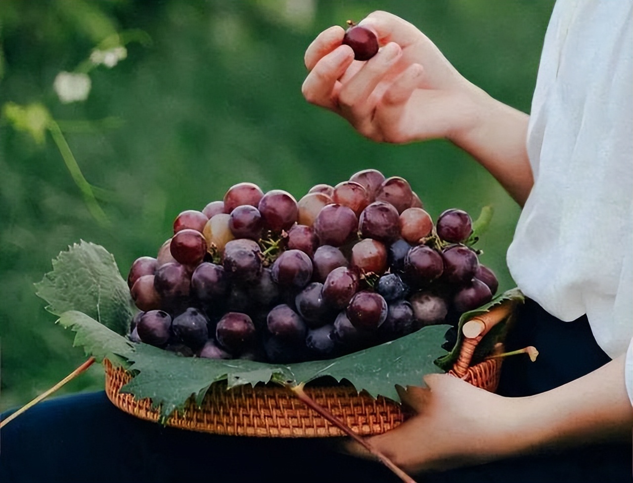 Thyroid nodules can not eat grapes?The doctor reminds these three
