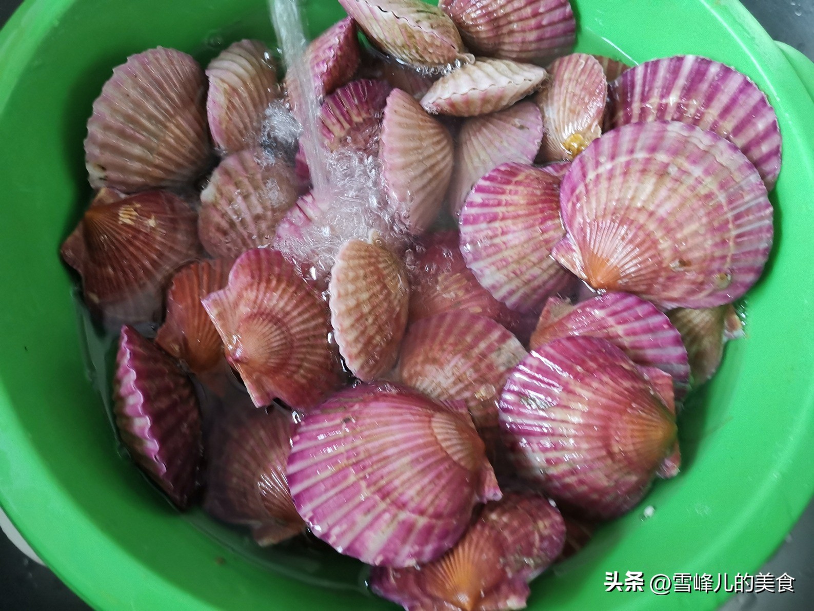Scallops are getting fat in November, do you know how to eat scallops