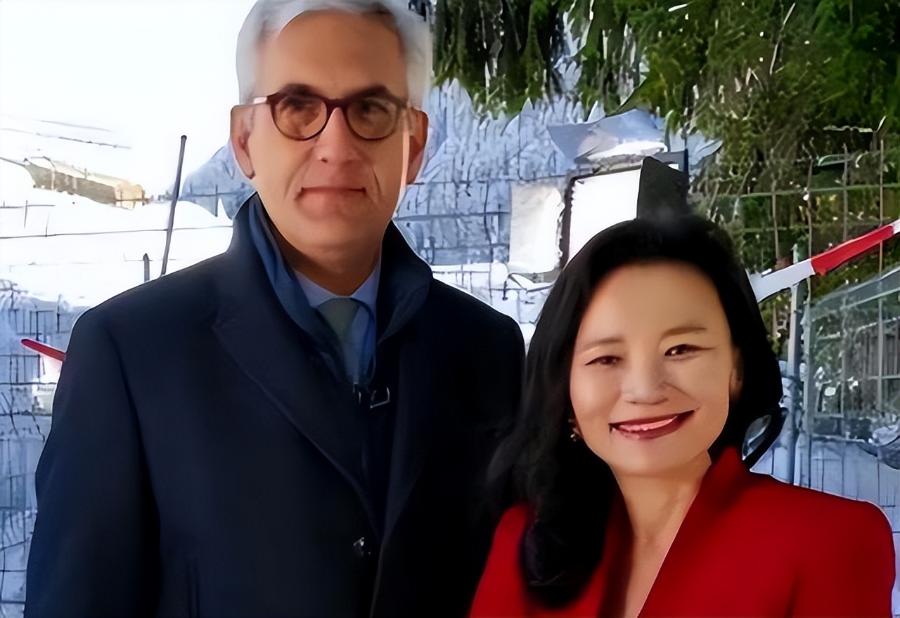 Cheng Le Spy host Cheng Lei: lurking in China for 20 years and causing hundreds ...