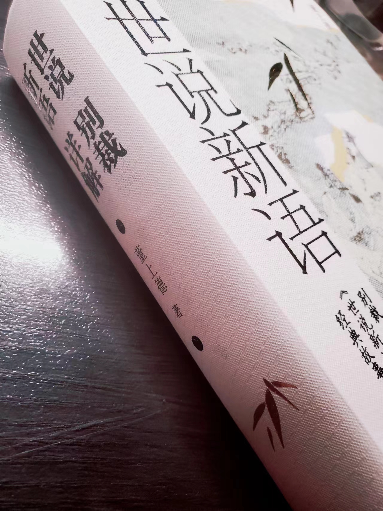 "Shi Shuo Xin Yu Bie Cai Detailed Explanation": fresh Shi Shuo Xin Yu ...