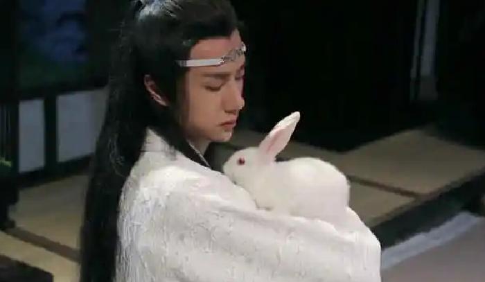 Chen Qingling: Why did Lan Zhan smile at the rabbit before going to the ...