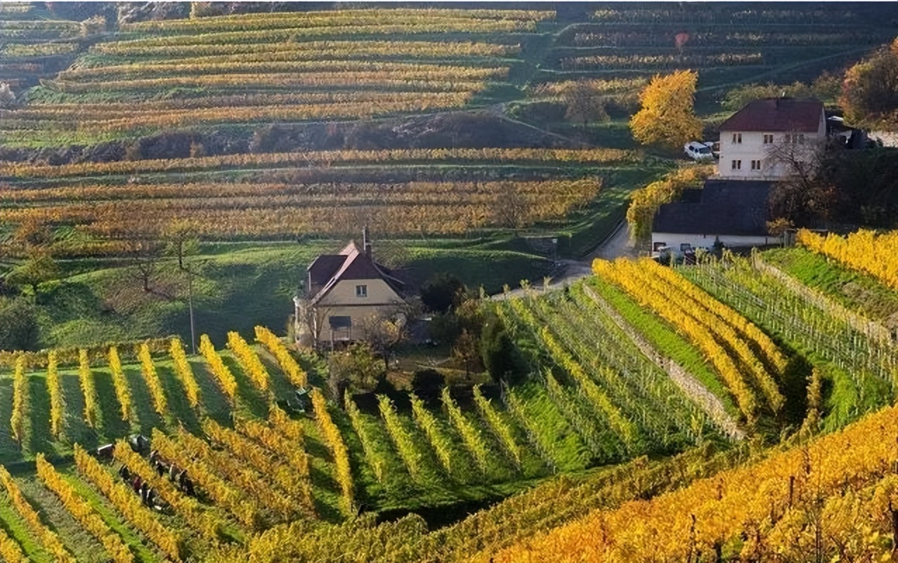 The Development and Technological Evolution of Ancient Austrian ...