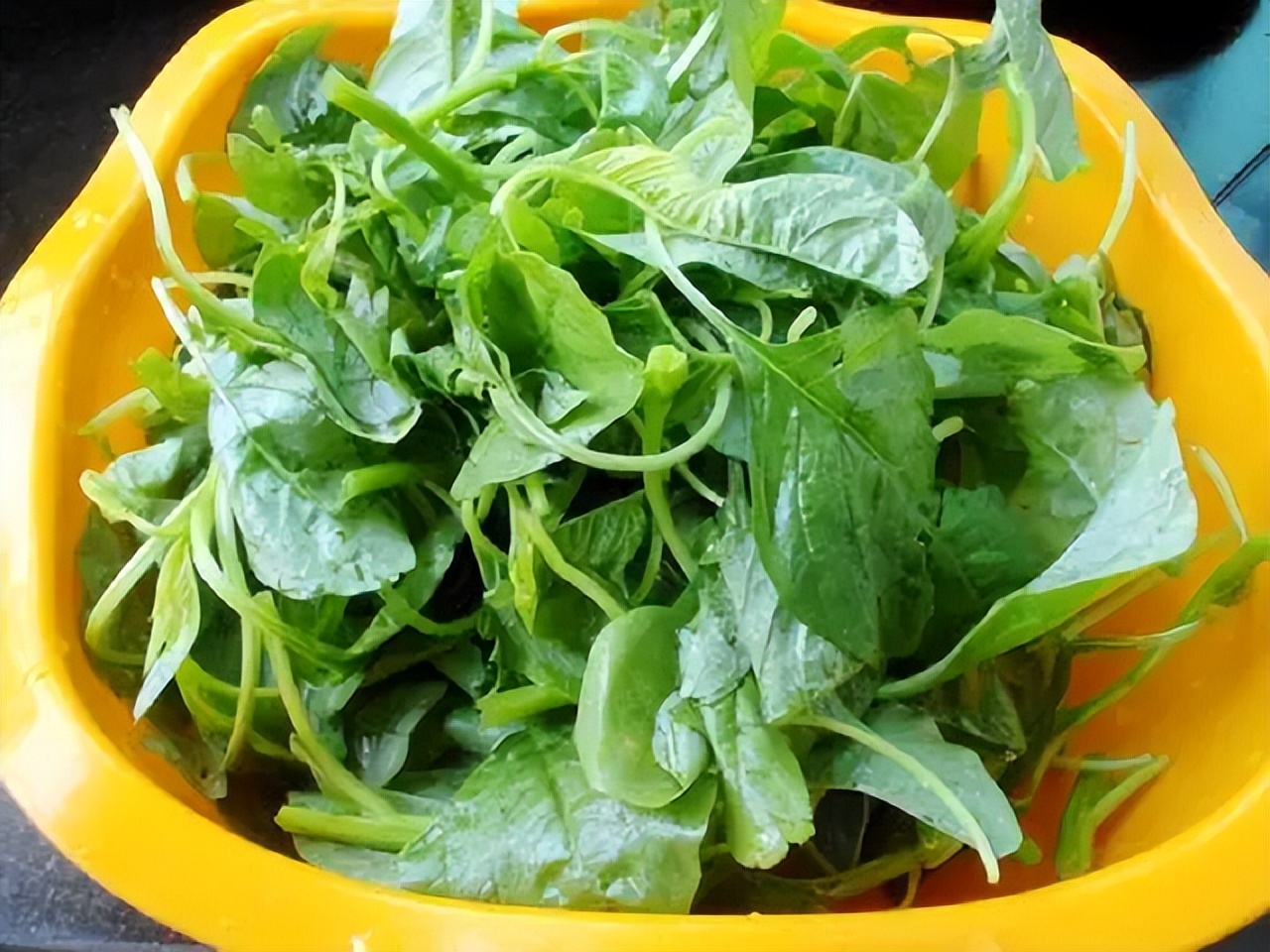 These 5 kinds of green leafy vegetables have a higher calcium content