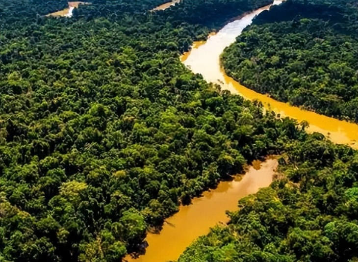 Brazilian rainforest protection, combating illegal logging and land ...