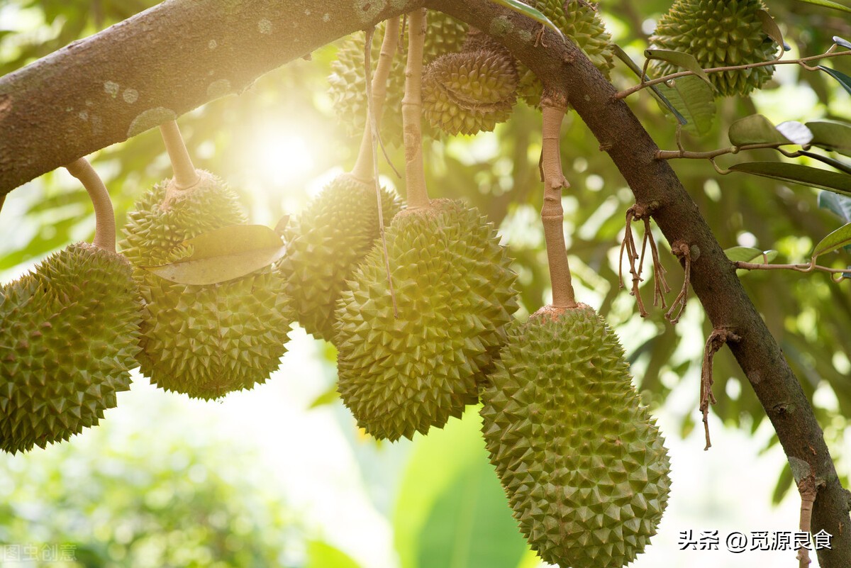 These 5 kinds of fruits are obviously produced in large quantities, but ...