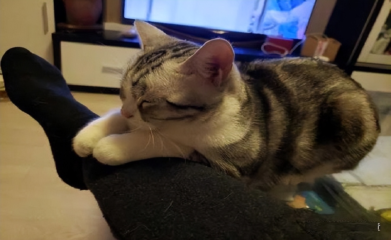 When you fall asleep, the "cat" will do this, it means you have the