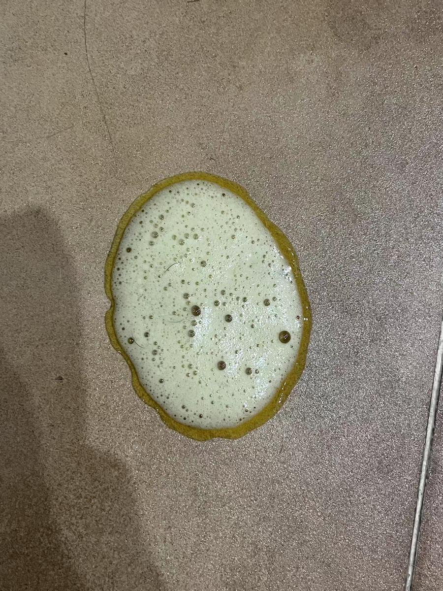 What should I do if my cat vomits?Don't panic!Teach you to deal with iNEWS