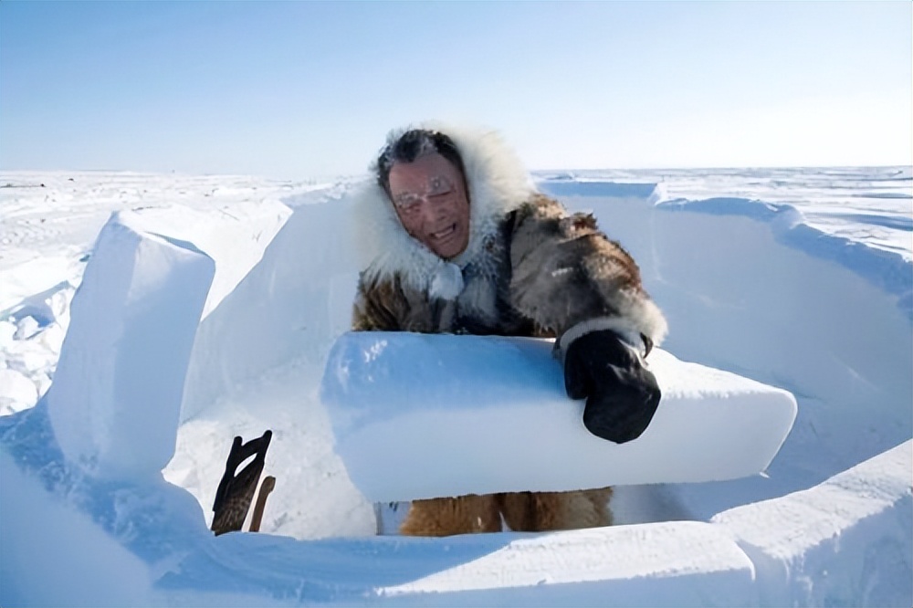 Why do Inuit live in igloos in the Arctic? Their way of life is amazing
