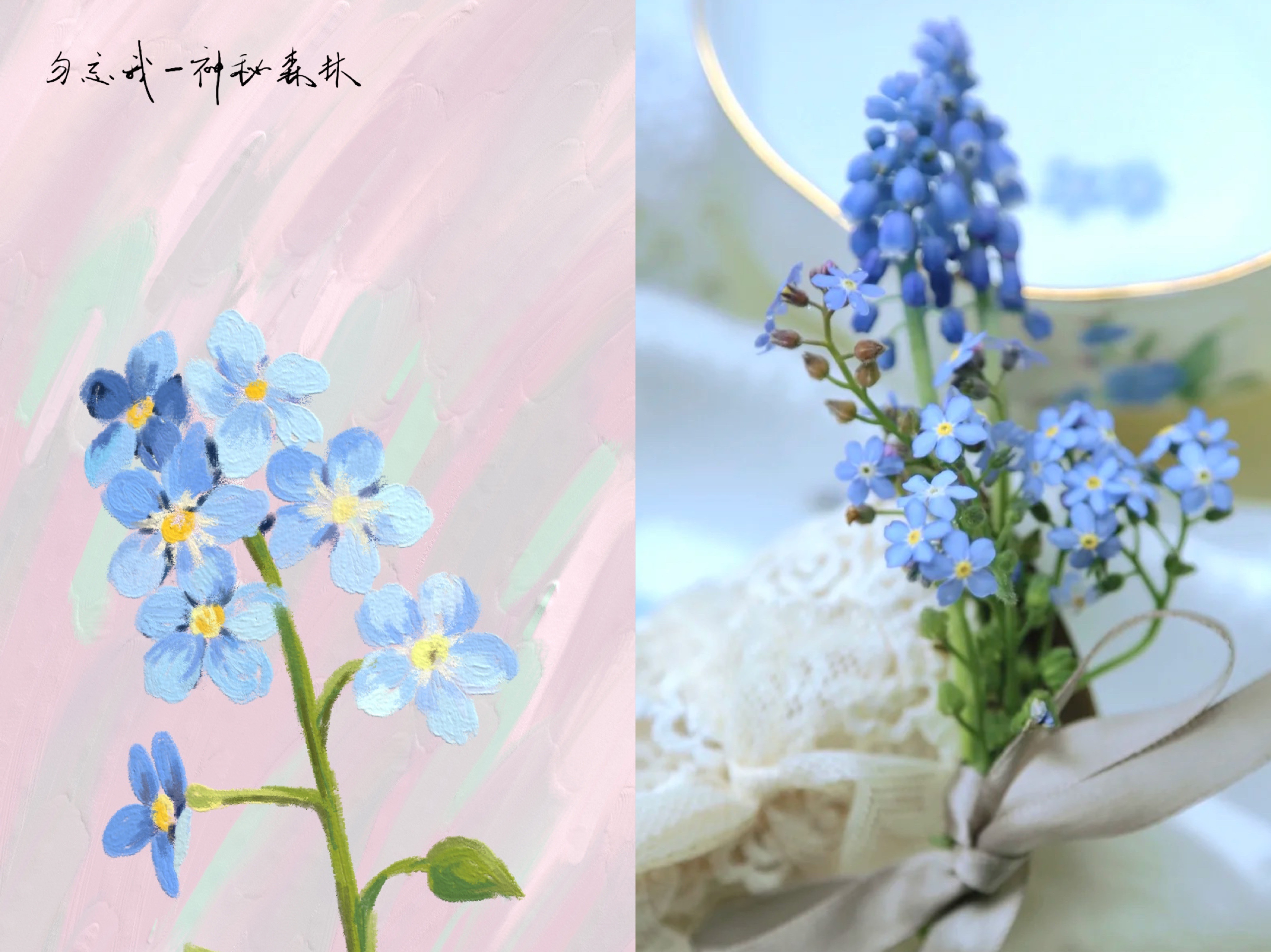 王源手写夏野了花种花名 手写传递真心 粉丝用针织永久保存 资讯咖