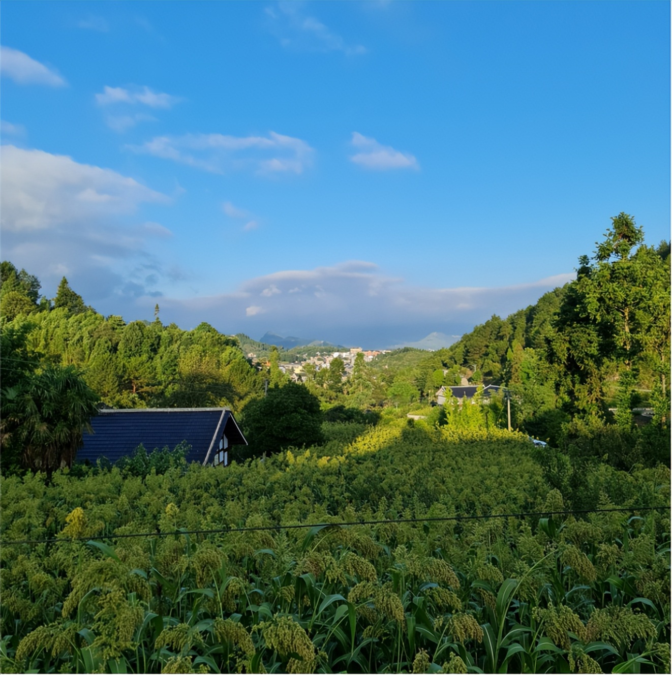 [Summer] Hot summer! Come to Huichuan Zhima Town at 23°C to enjoy the ...