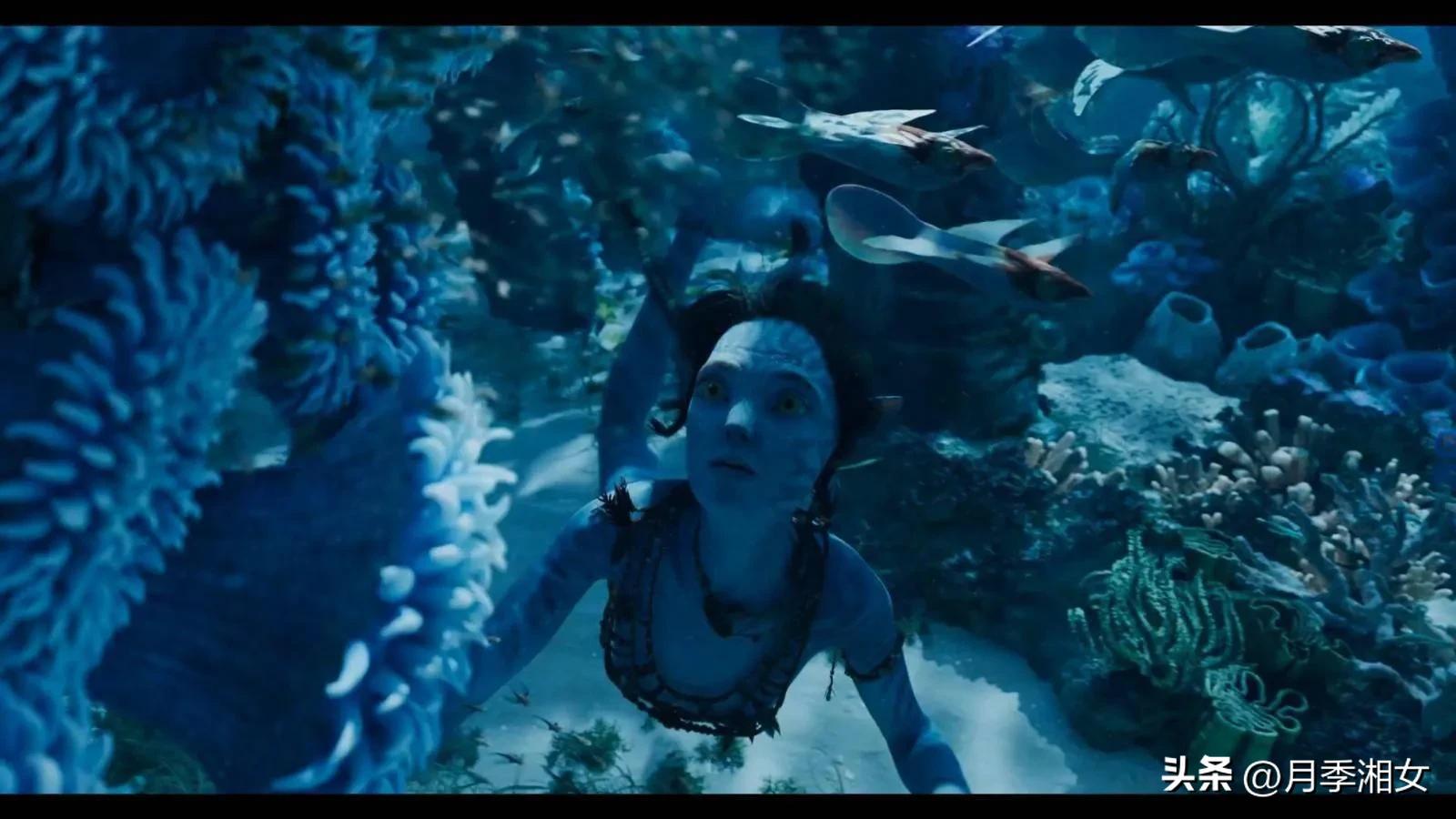 Kate is too hard!He held his breath underwater for more than 7 minutes(01)