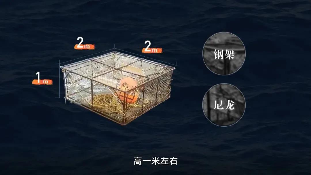 Why are king crabs so expensive? iNEWS