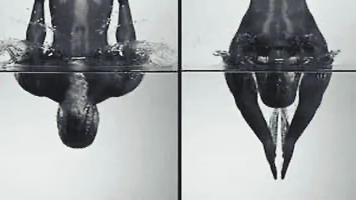 Scientists calculate maximum safe diving height - iNEWS