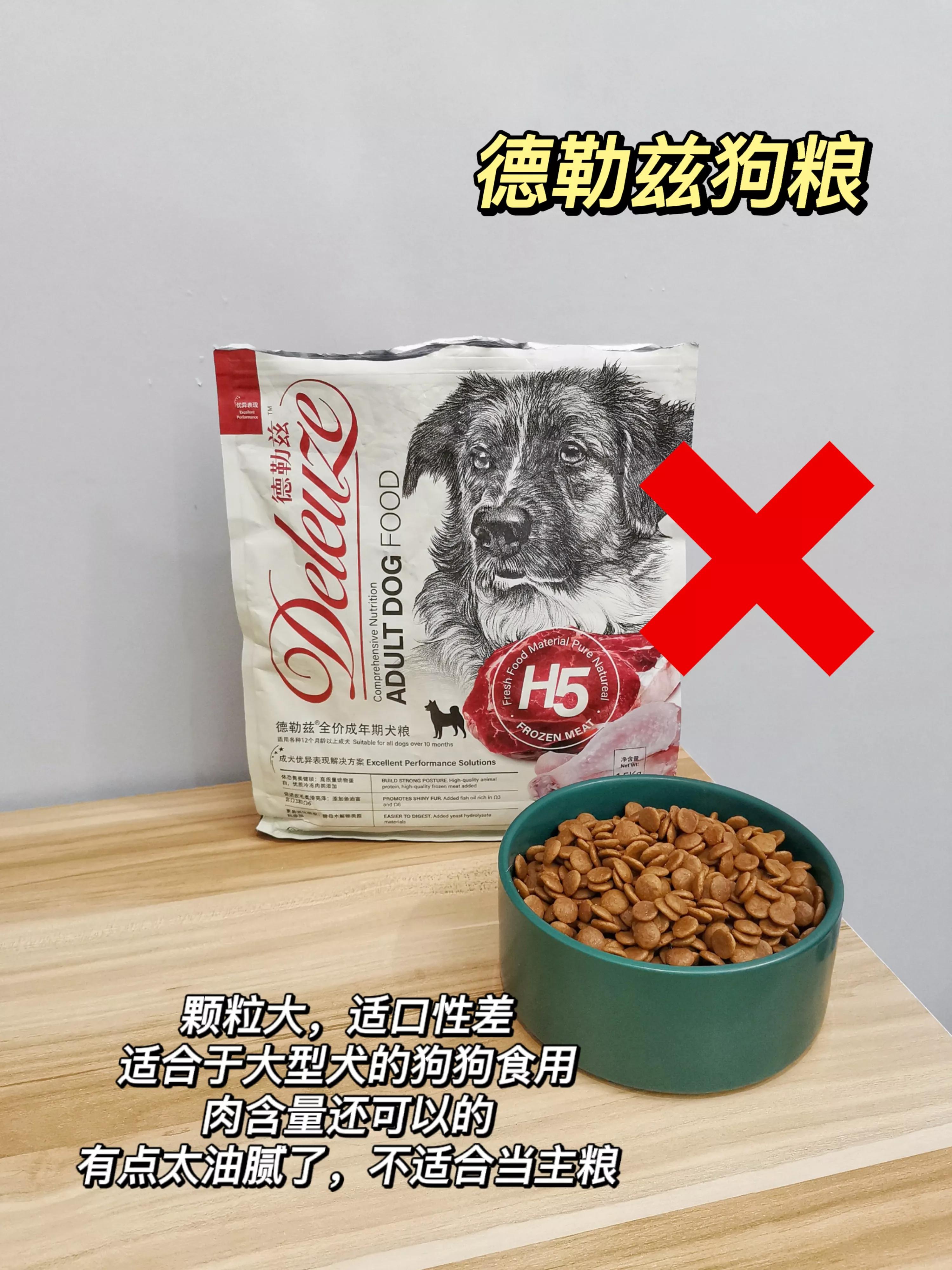 6 dog food evaluation, is your home feeding poisonous food? iNEWS