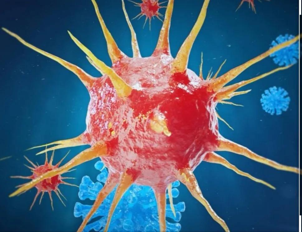 Can drinking really cause liver cancer? iNEWS