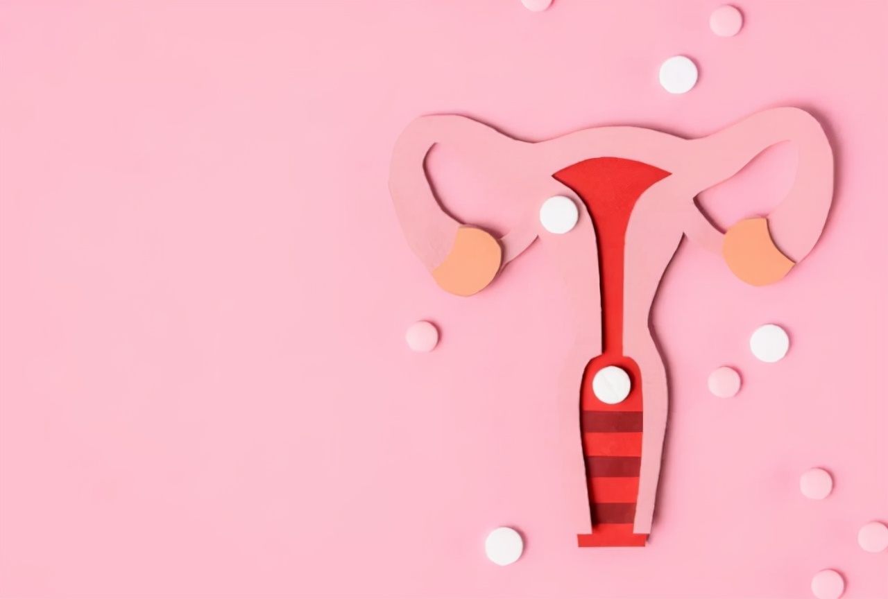 Girls with a "clean" uterus generally have 6 characteristics. Do you meet the standards by