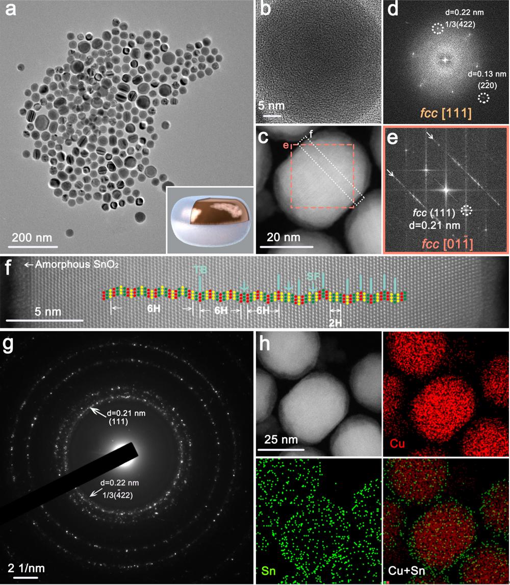 Amorphous SnO2 Coating Unconventional Phase Copper Nanomaterials for ...