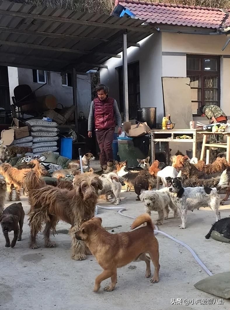 Yu Leiming passed away at the age of 46. He went bankrupt to save the ...