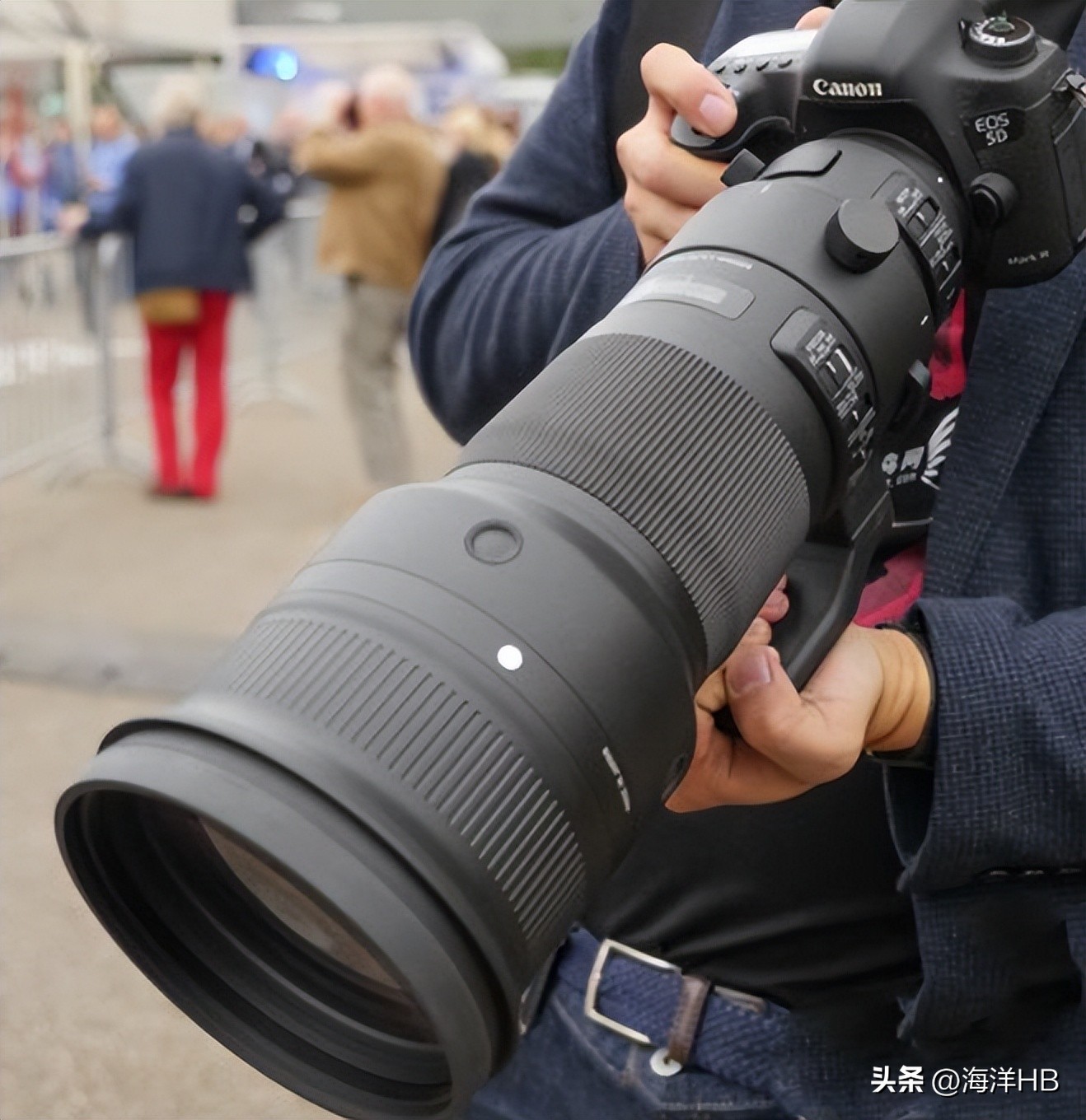 What is the ability of the Sigma 500F4 fixedfocus lens to shoot birds