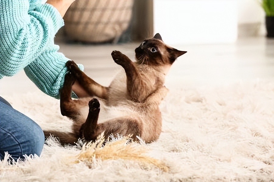 To tell you the truth, there are 6 major "disadvantages" of keeping