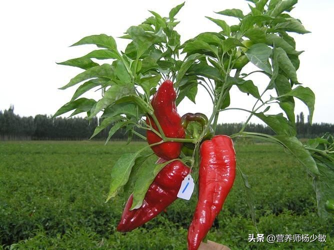 Why does spicy food cause runny nose? iNEWS