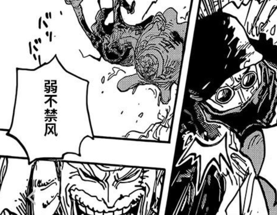 One Piece 1081, Aokiji suffered a disastrous defeat when he first