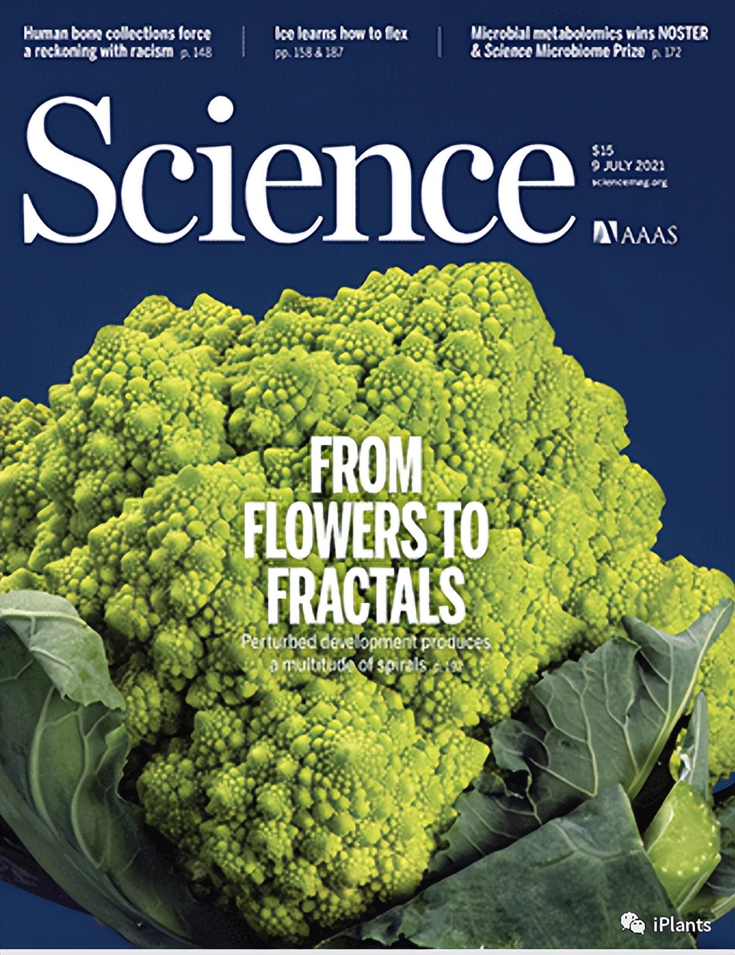 Science Behind Cur Molecular mechanism of curd production of