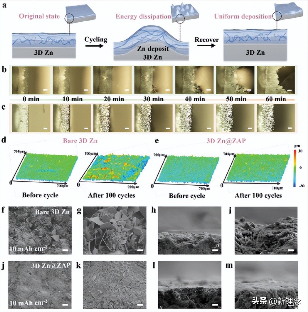 Ultrastable 3D Printed Zinc Powder-based Anode With Conformal Ion ...