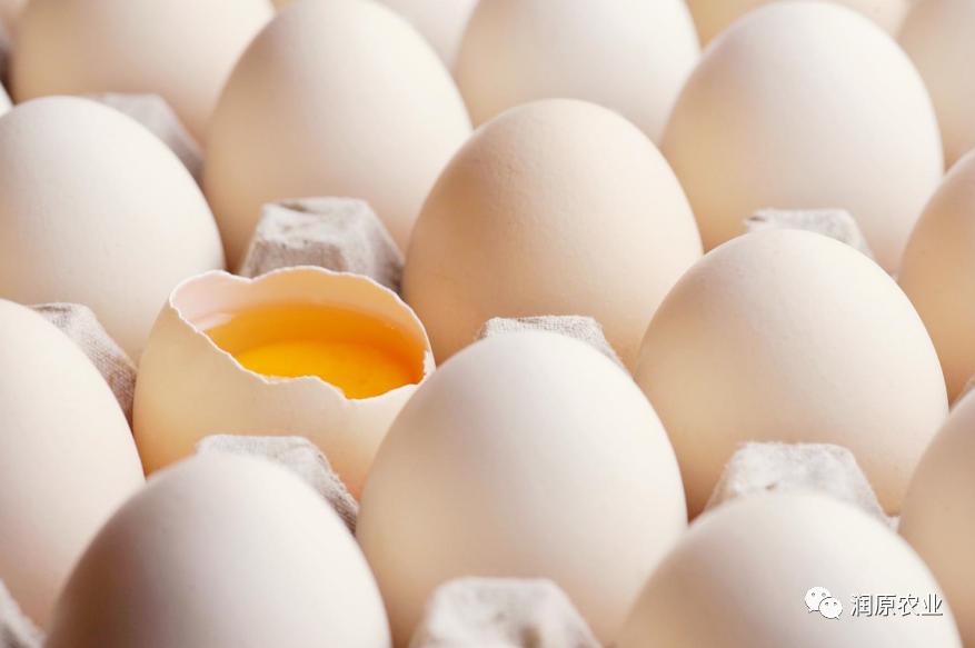 Seleniumenriched eggs for health iNEWS