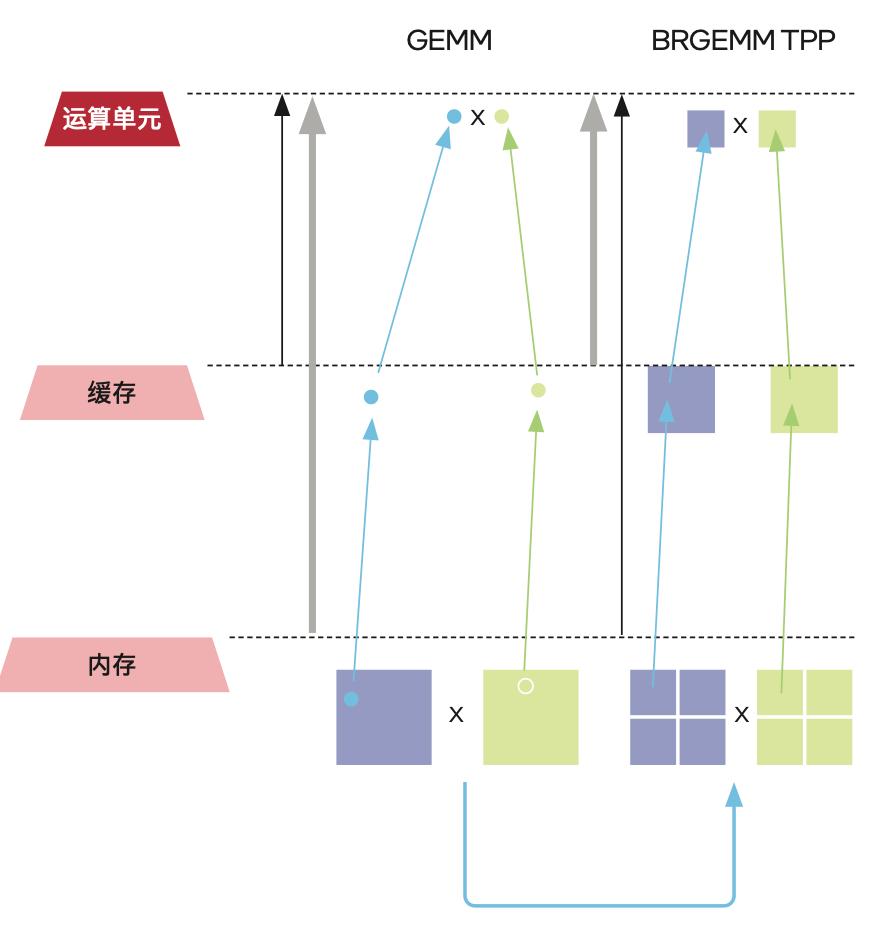Predicting ultra-long proteins, the CPU won - iMedia