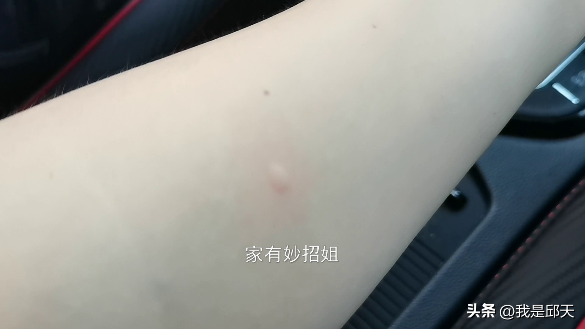 Don't panic if there are mosquitoes at home? Put a bowl of water in the