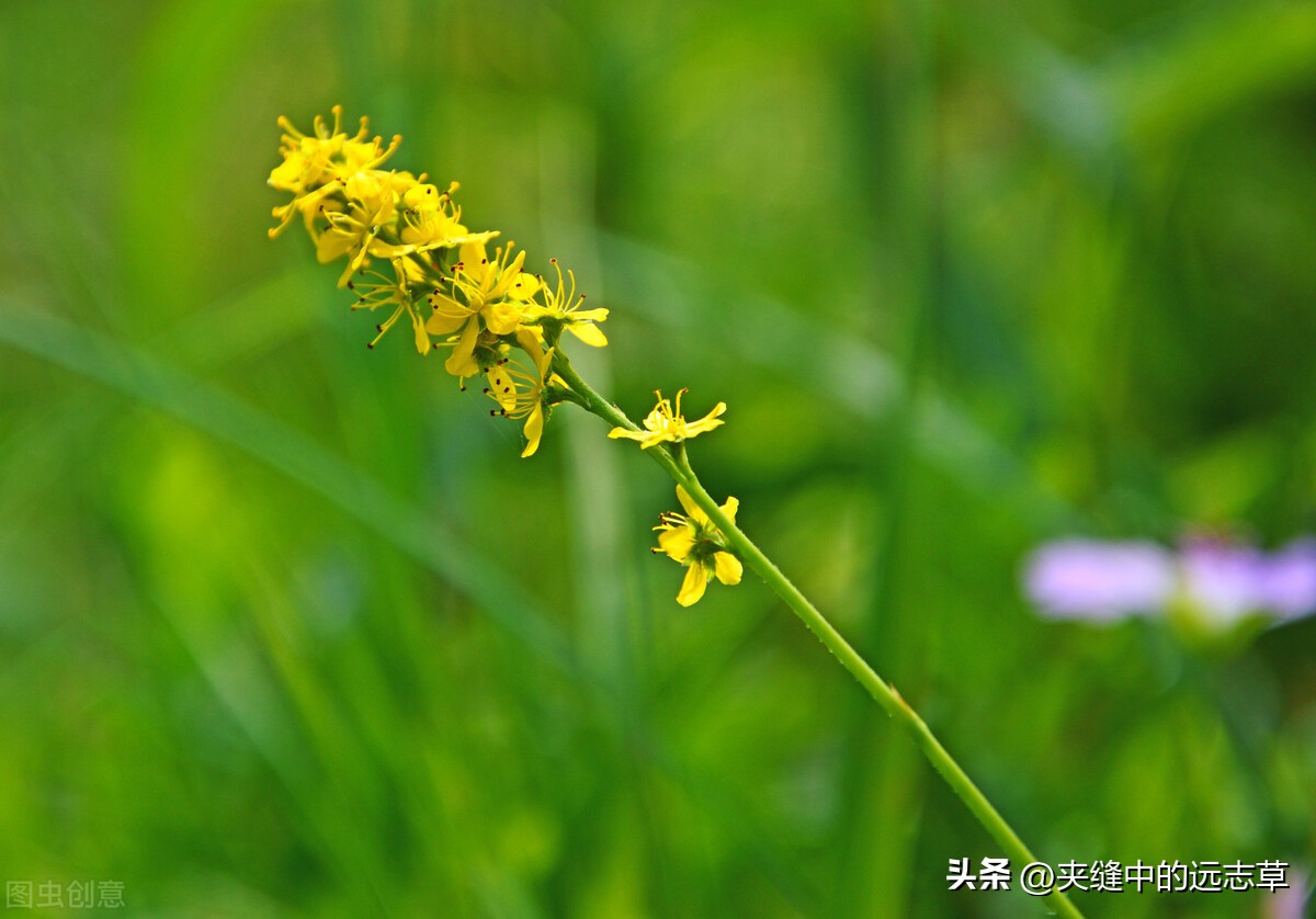 Talk about Blindly nourishing and astringing tuolicao, tonic, stop ...