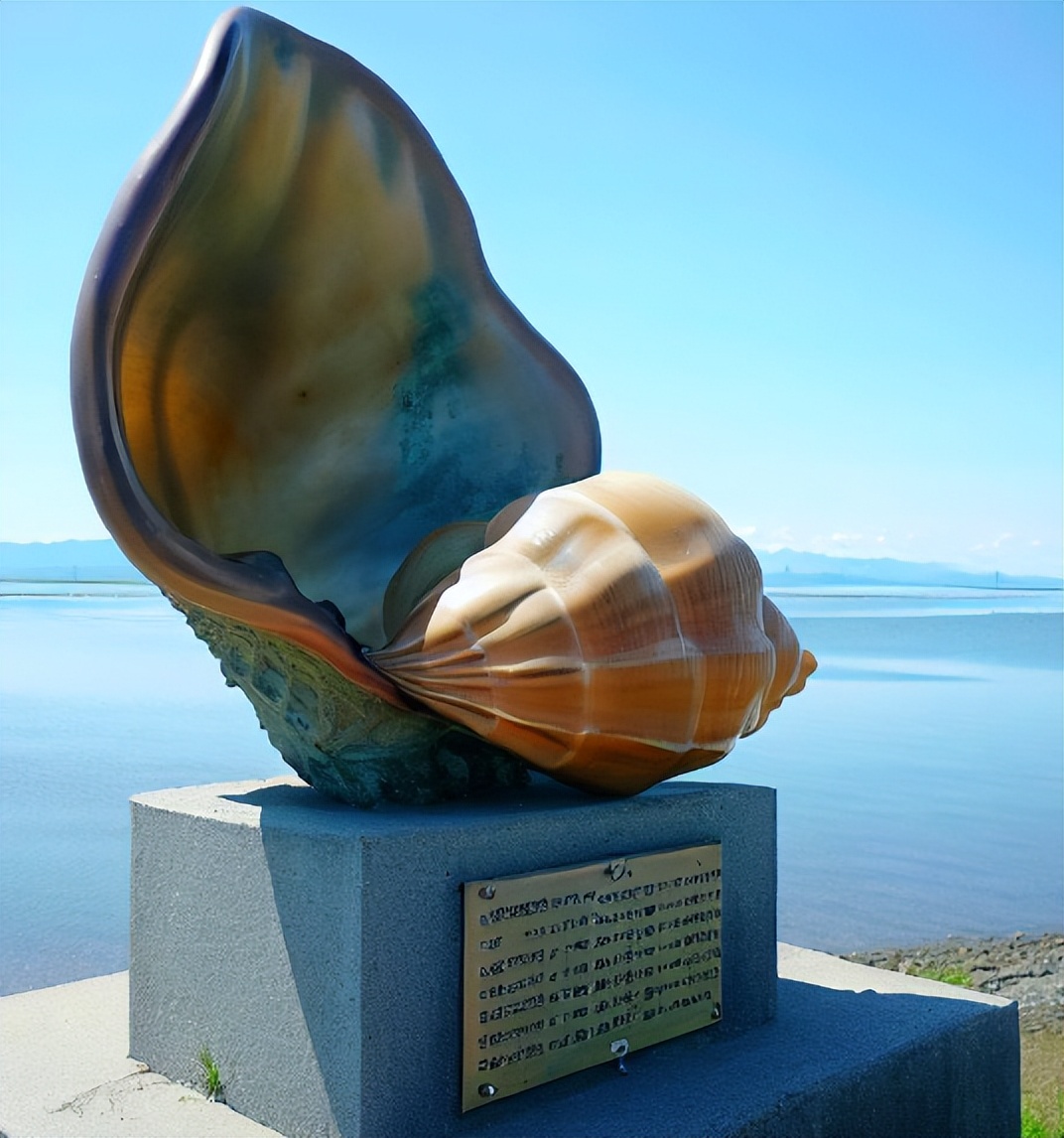 Connecting the past and the present, the historical echo of the conch ...