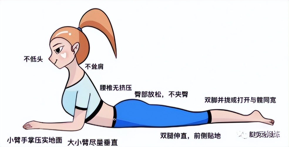 Reduce Shape How to reduce fat and shape? - iMedia